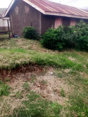 1⁄4 an Acre in Dunga, Atela Junction