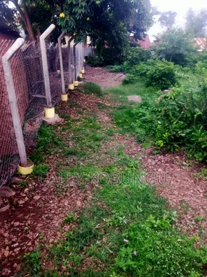 1⁄4 an Acre in Dunga, Atela Junction