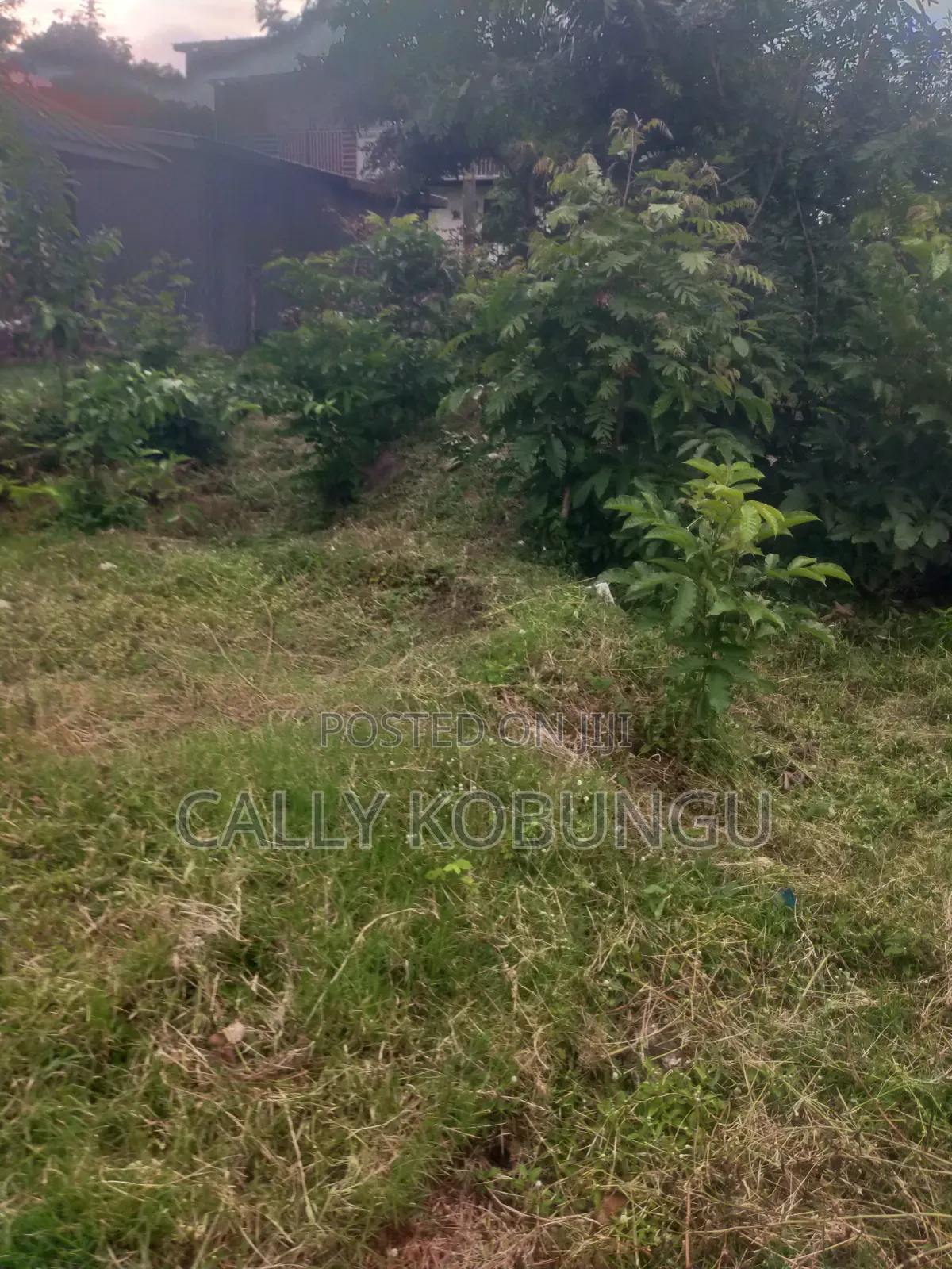 1⁄4 an Acre in Dunga, Atela Junction