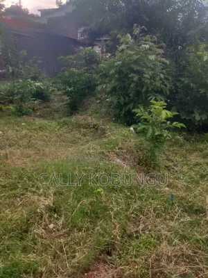 1⁄4 an Acre in Dunga, Atela Junction