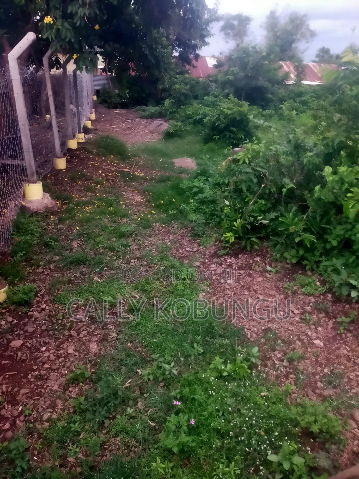 1⁄4 an Acre in Dunga, Atela Junction