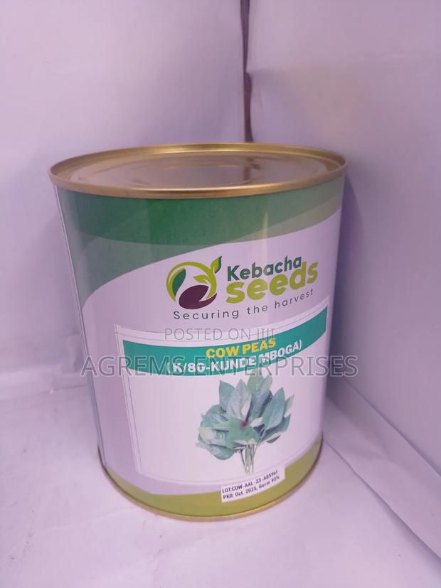 Kebacha Seeds Cow Peas( K/80)