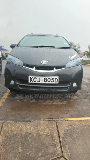 Toyota Wish 2011 Black