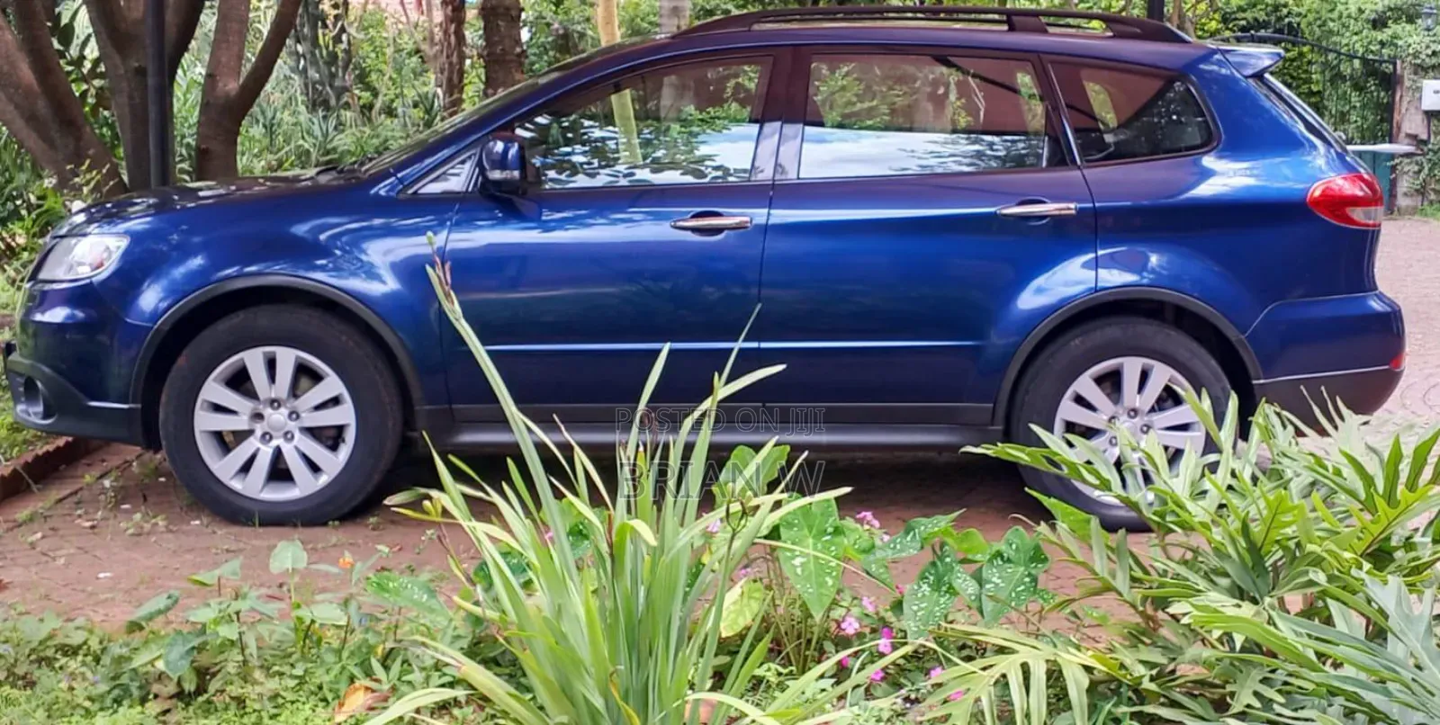 Subaru Tribeca 2012 Blue