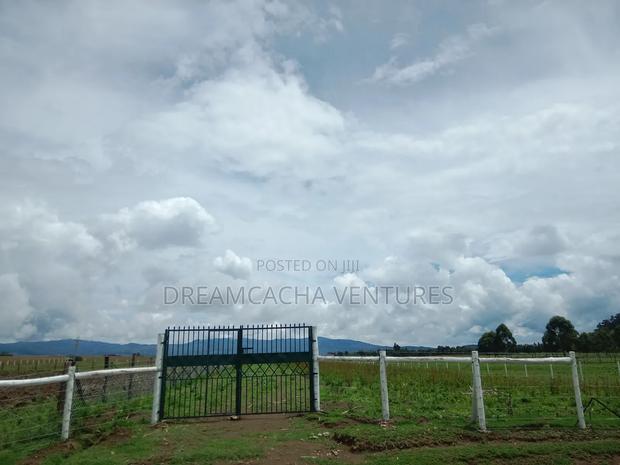 Residential Plots