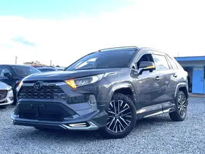 Toyota RAV4 Adventure 2019 Gray