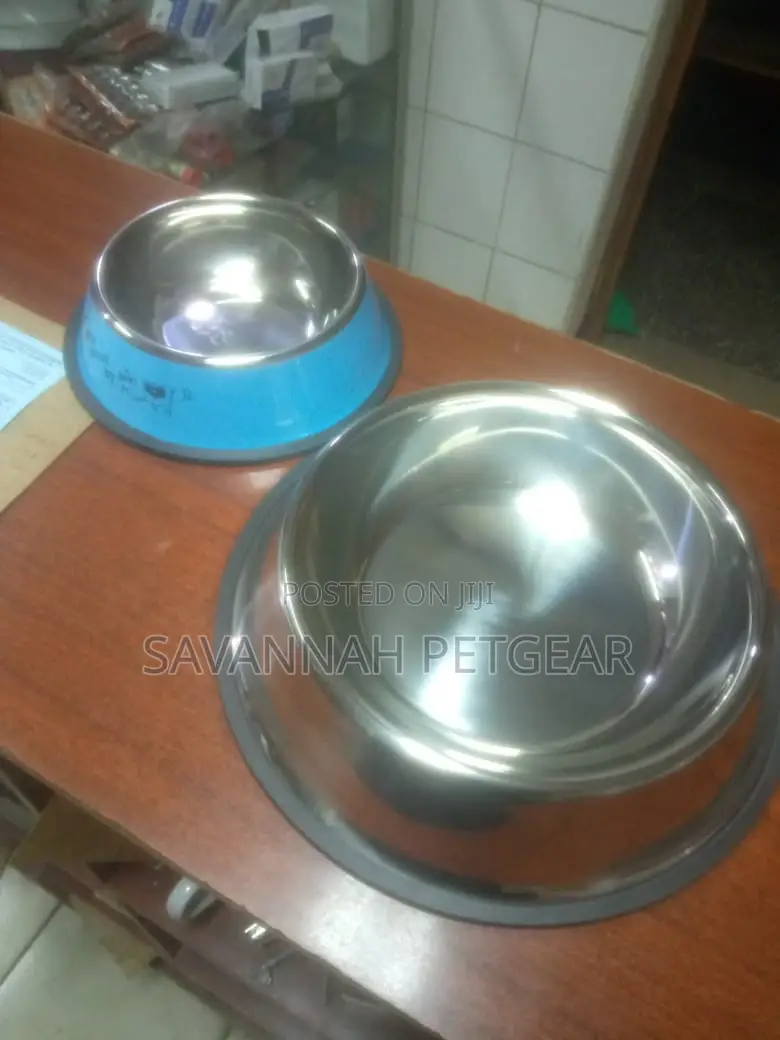 Stainless Steel Dog Feeding Bowl - Small Size