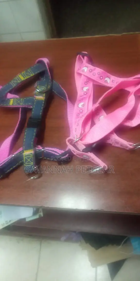 Best Quality Dog Harnesses for Sale