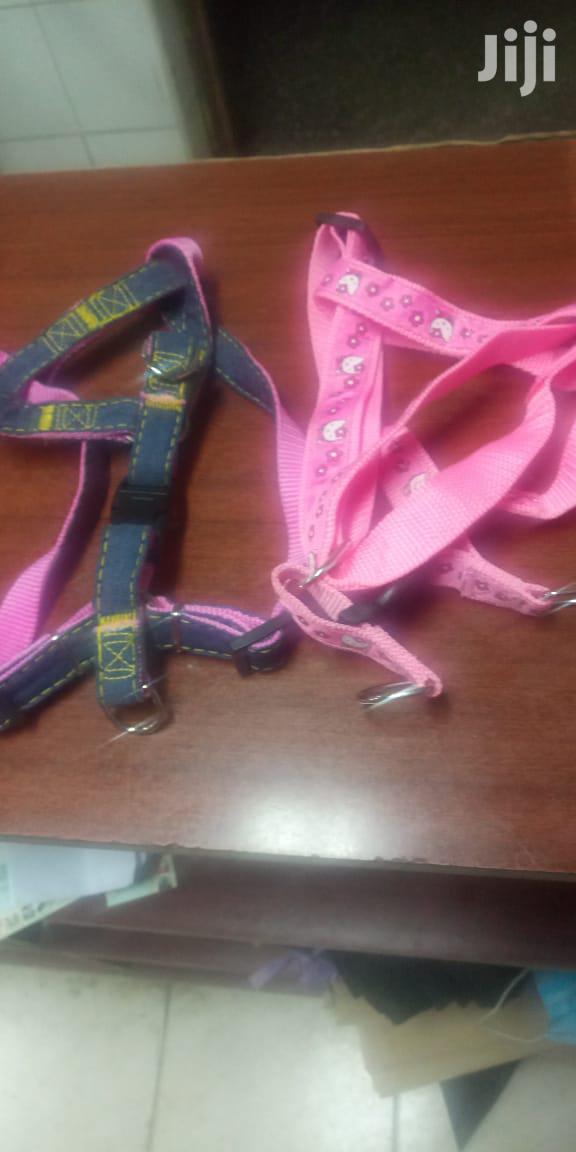 Best Quality Dog Harnesses for Sale - main view