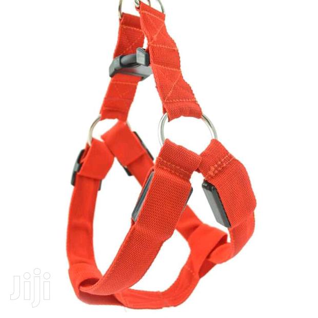 Best Quality Dog Harnesses for Sale - thumbnail 3