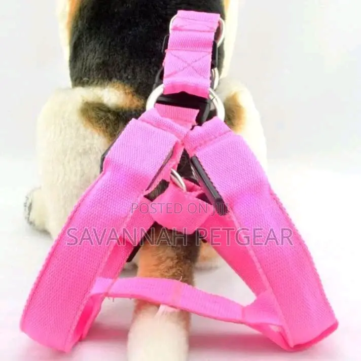 Best Quality Dog Harnesses for Sale