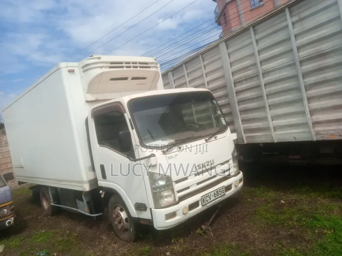 Isuzu Elf for Sale