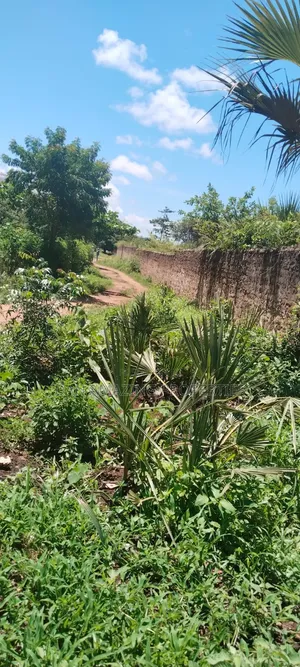5 Acres for Sale as Block in Diani Rock Galana Area Fully Fenced