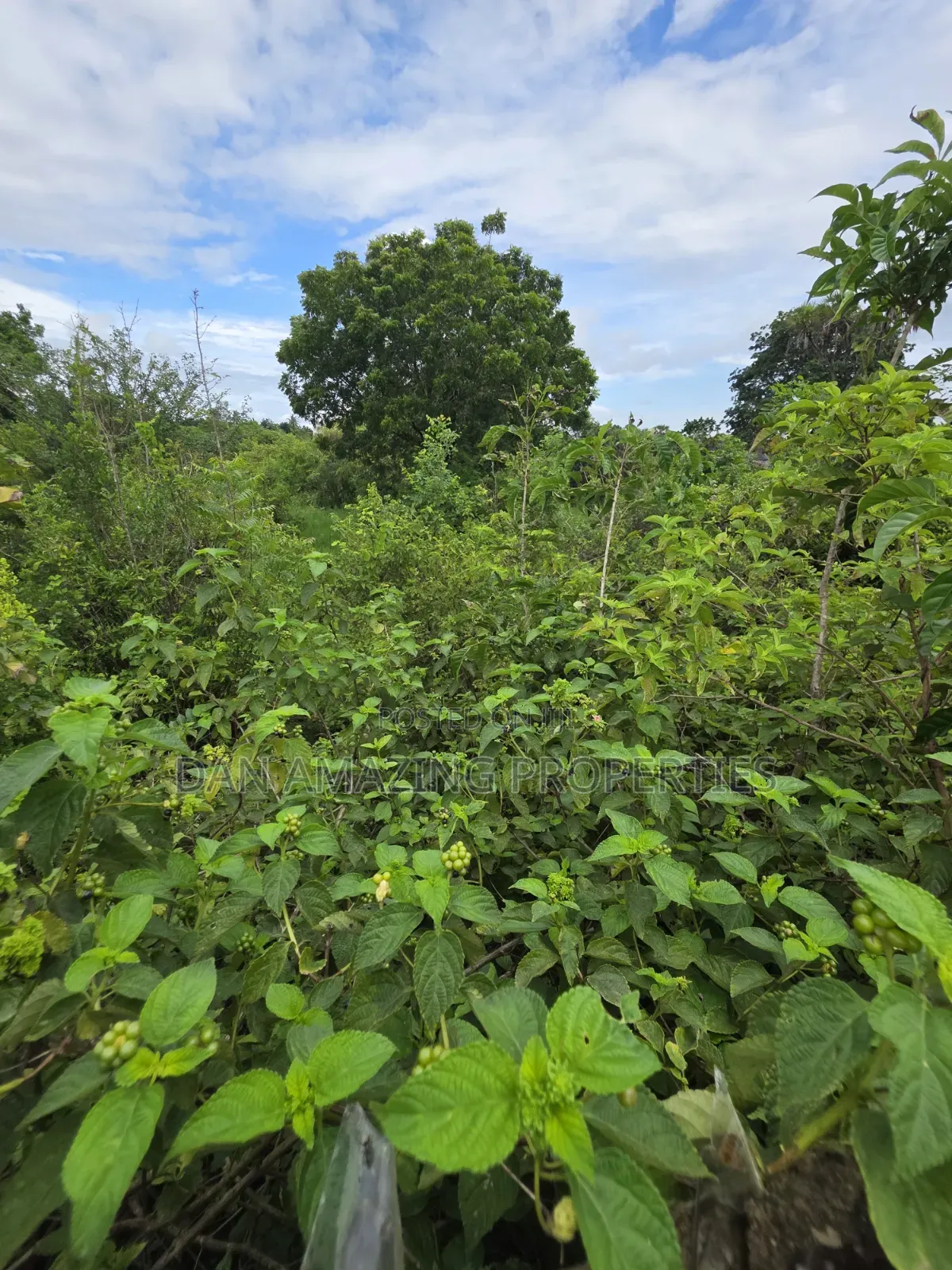 5 Acres for Sale as Block in Diani Rock Galana Area Fully Fenced
