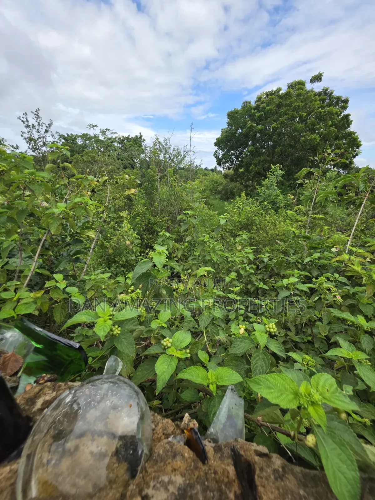 5 Acres for Sale as Block in Diani Rock Galana Area Fully Fenced