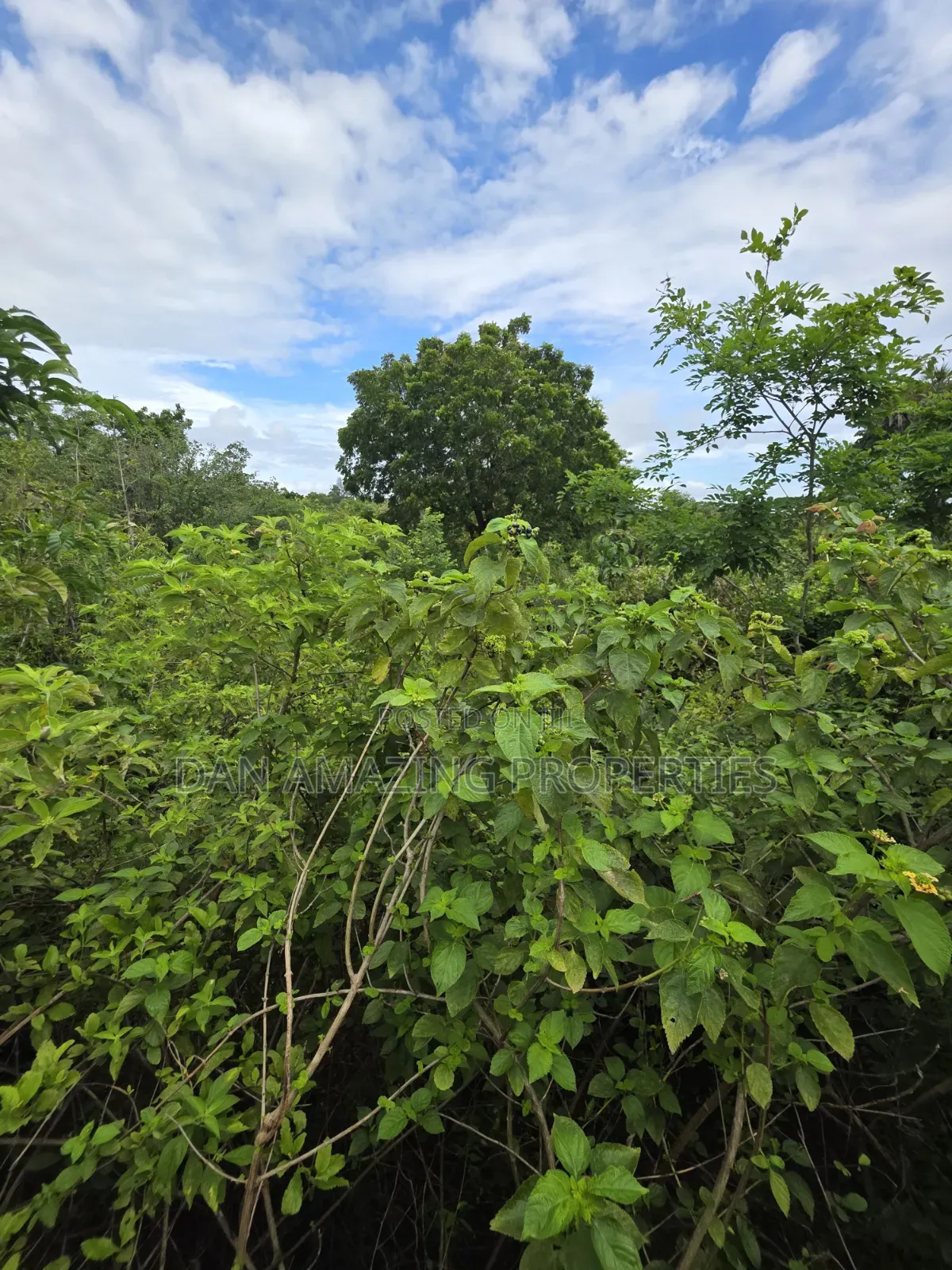 5 Acres for Sale as Block in Diani Rock Galana Area Fully Fenced