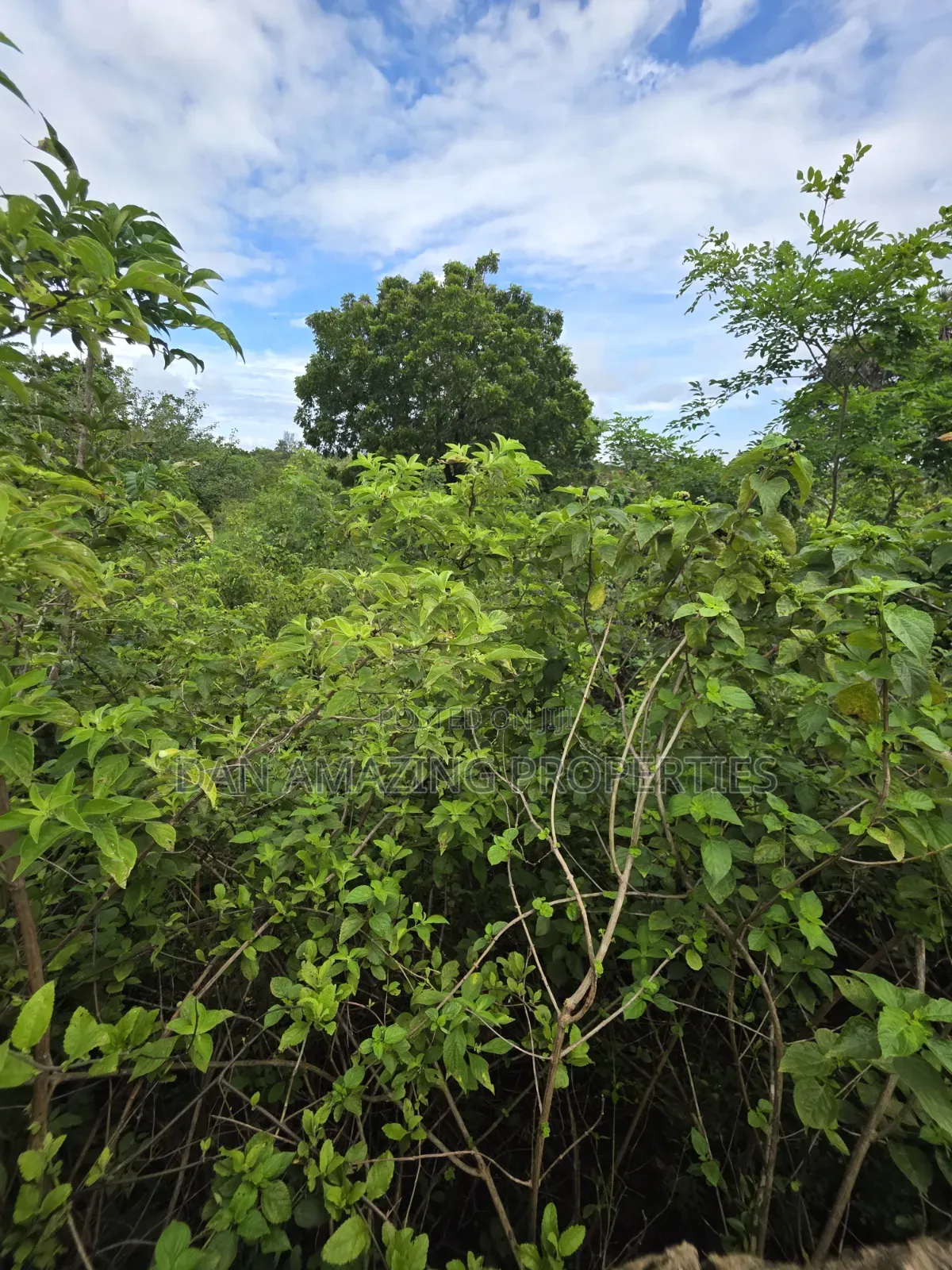 5 Acres for Sale as Block in Diani Rock Galana Area Fully Fenced
