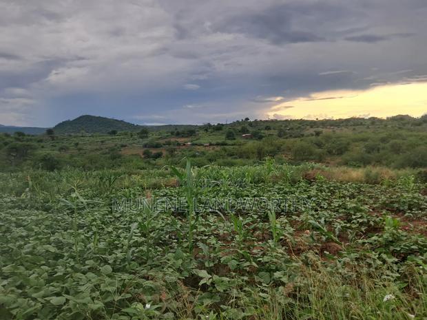 Embu County,Riachina Agricultural Farmland - thumbnail 6