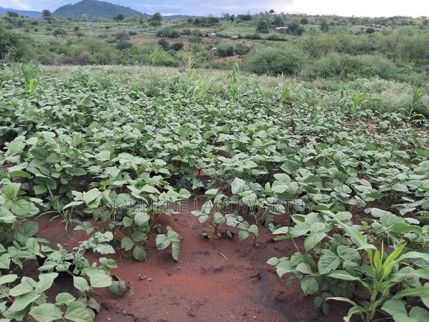 Embu County,Riachina Agricultural Farmland - thumbnail 7