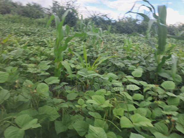 Embu County,Riachina Agricultural Farmland - thumbnail 9