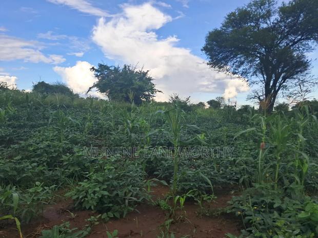 Embu County,Riachina Agricultural Farmland - thumbnail 10