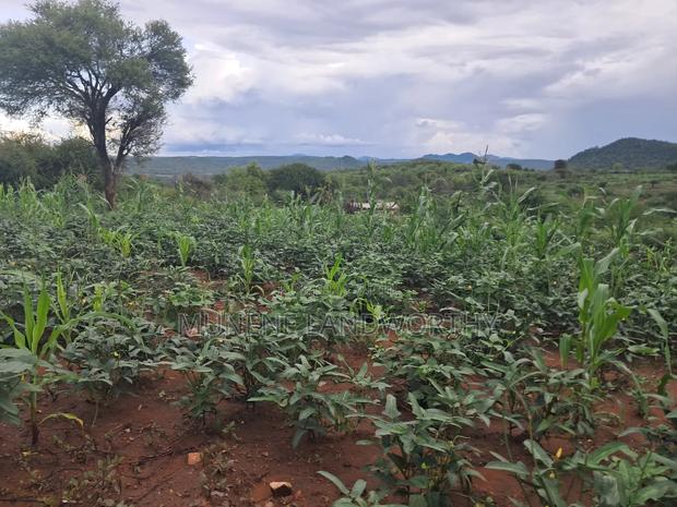 Embu County,Riachina Agricultural Farmland - thumbnail 11