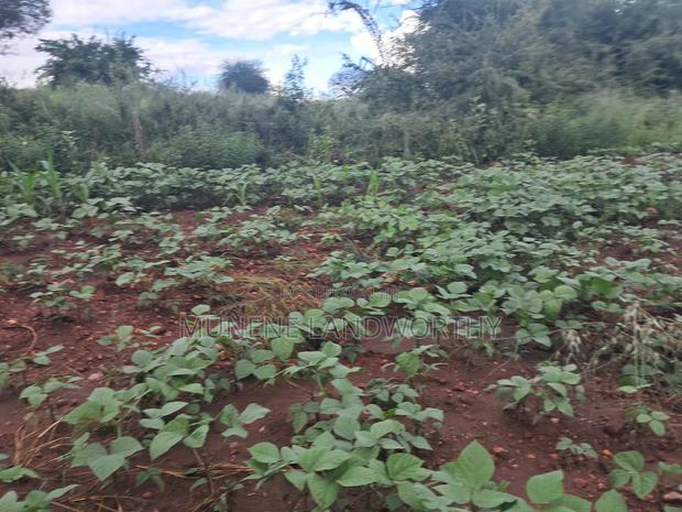 Embu County,Riachina Agricultural Farmland - thumbnail 13