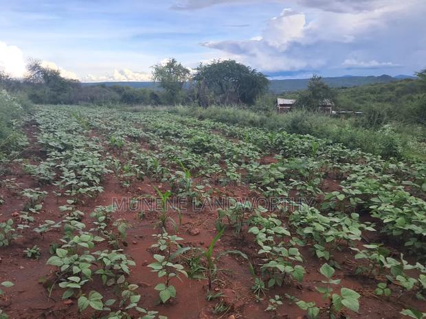 Embu County,Riachina Agricultural Farmland - thumbnail 14