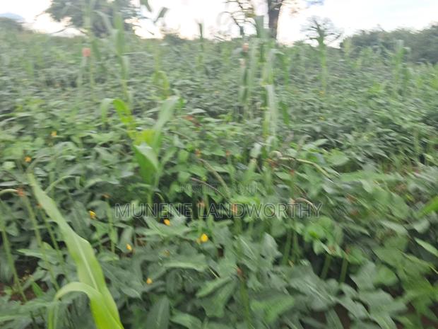 Embu County,Riachina Agricultural Farmland - thumbnail 15