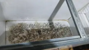 Deep Freezer in Kisumu