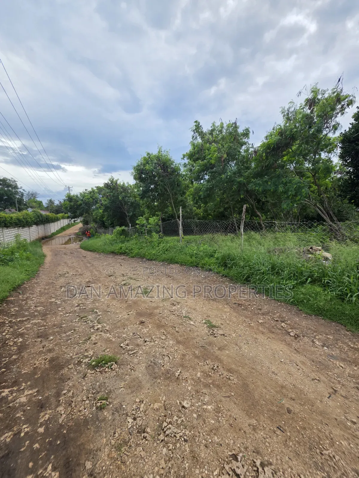 3 Pieces of 1/4 Acre Each Diani Bogani Villa Area for Sale