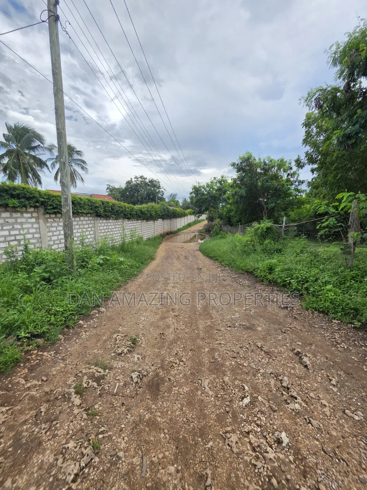 3 Pieces of 1/4 Acre Each Diani Bogani Villa Area for Sale