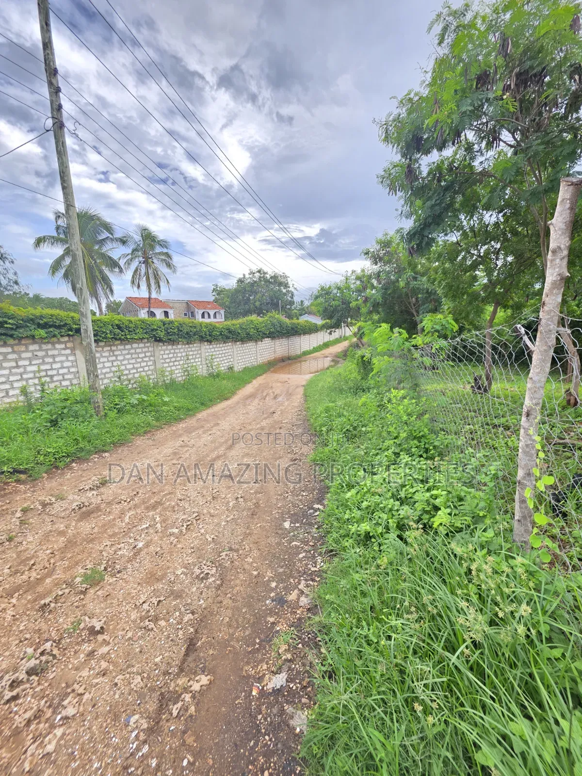 3 Pieces of 1/4 Acre Each Diani Bogani Villa Area for Sale