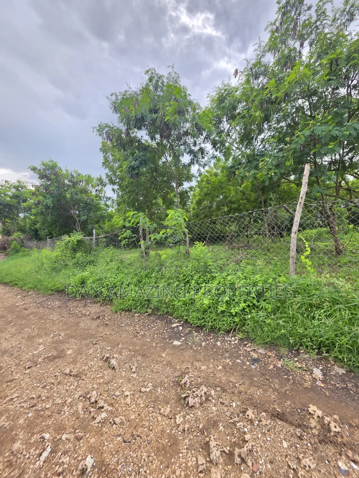 3 Pieces of 1/4 Acre Each Diani Bogani Villa Area for Sale