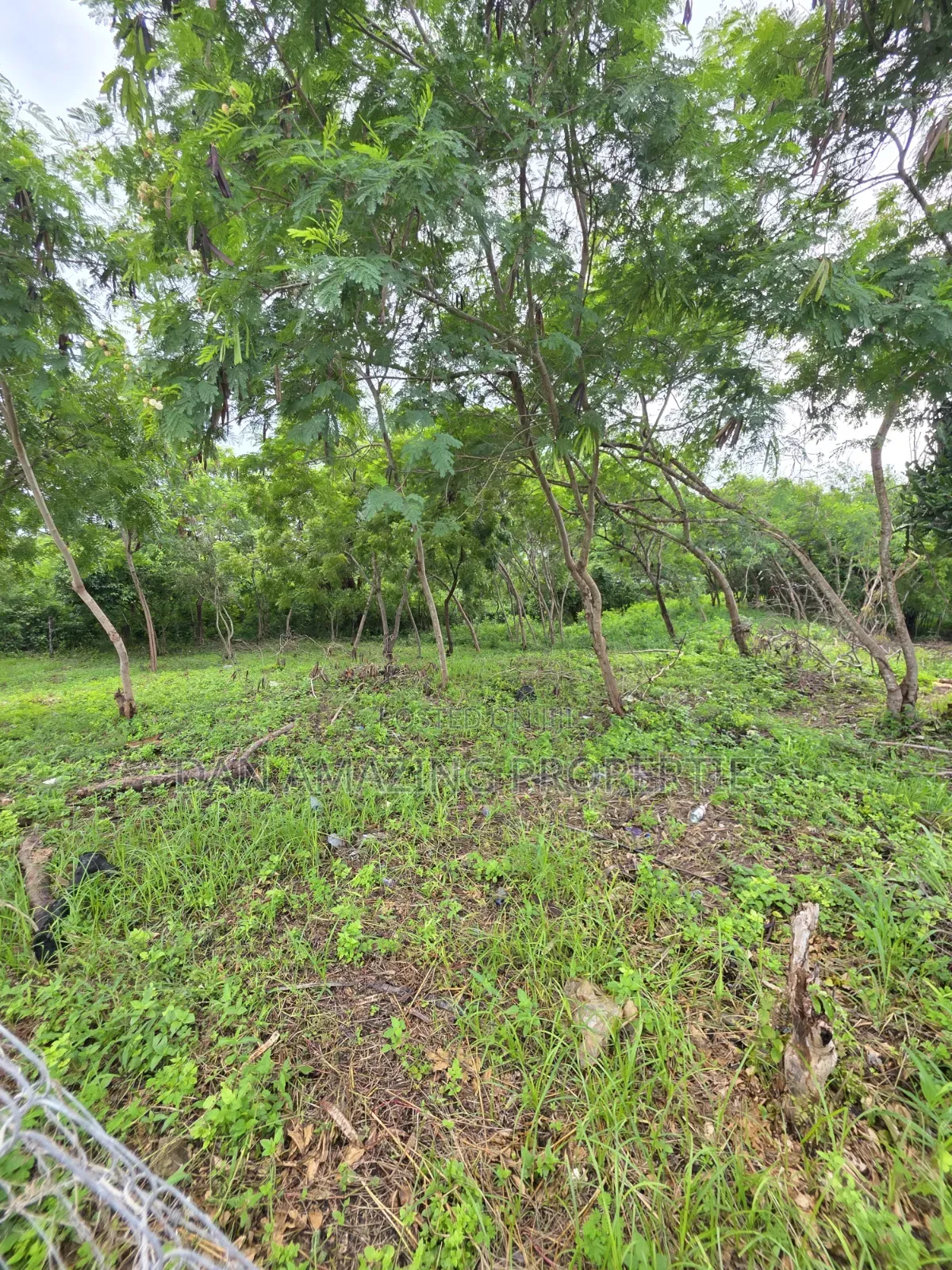 3 Pieces of 1/4 Acre Each Diani Bogani Villa Area for Sale