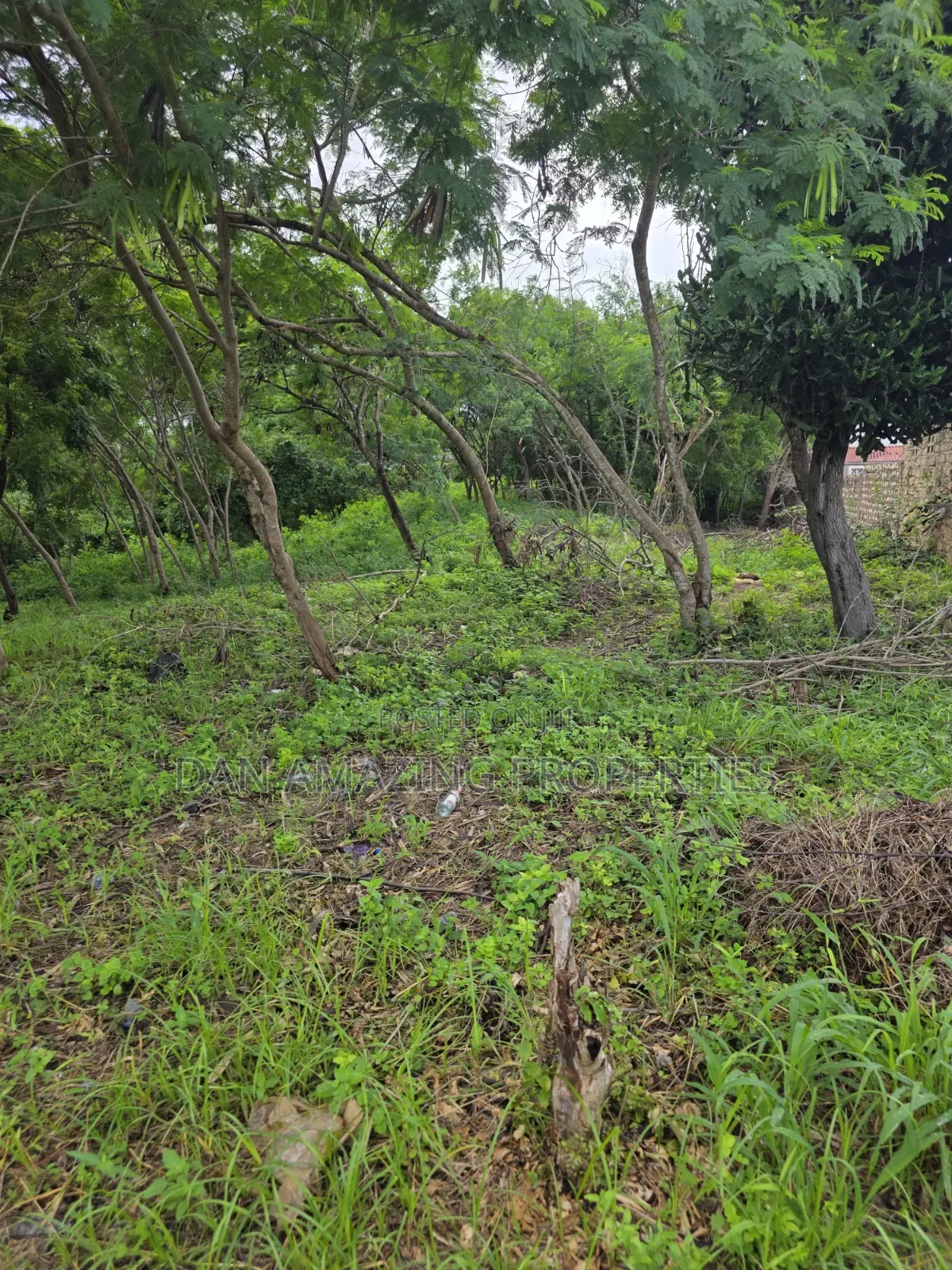 3 Pieces of 1/4 Acre Each Diani Bogani Villa Area for Sale