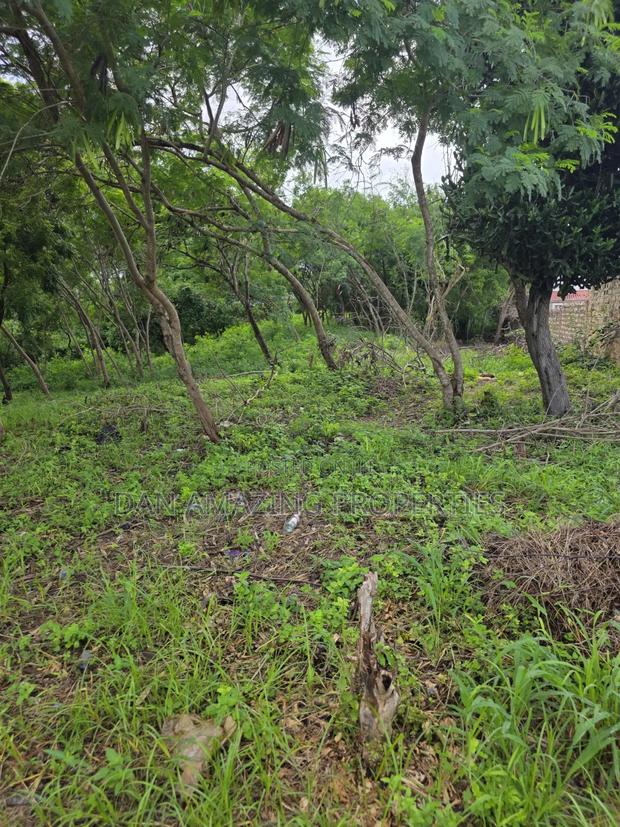 3 Pieces of 1/4 Acre Each Diani Bogani Villa Area for Sale - thumbnail 10