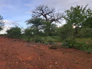 Embu County, Riachina Agricultural Farmland