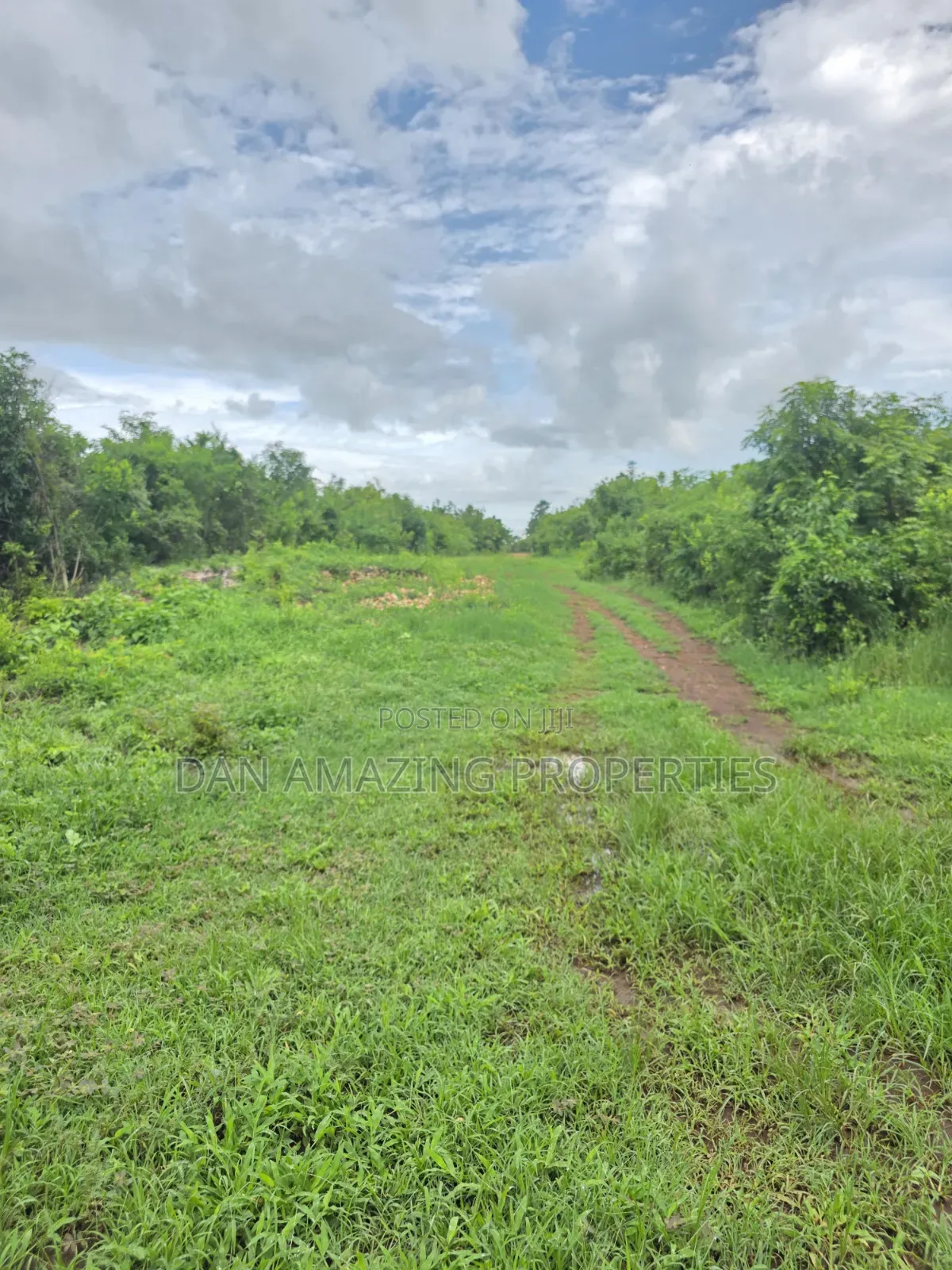 2 Pieces of 1/4 Acre Each in Diani Galu Inn Area