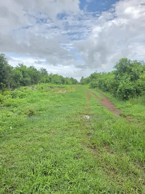 2 Pieces of 1/4 Acre Each in Diani Galu Inn Area