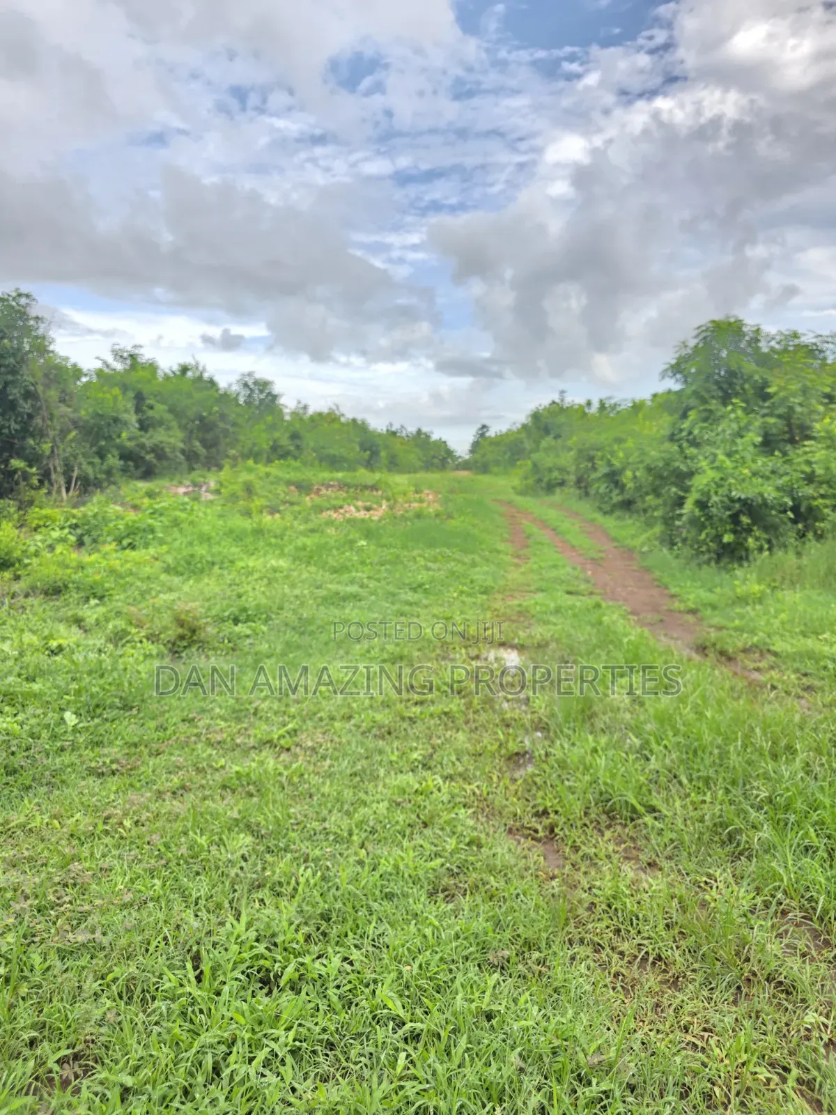 2 Pieces of 1/4 Acre Each in Diani Galu Inn Area