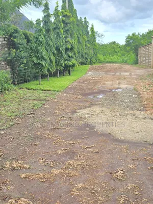 2 Pieces of 1/4 Acre Each in Diani Galu Inn Area