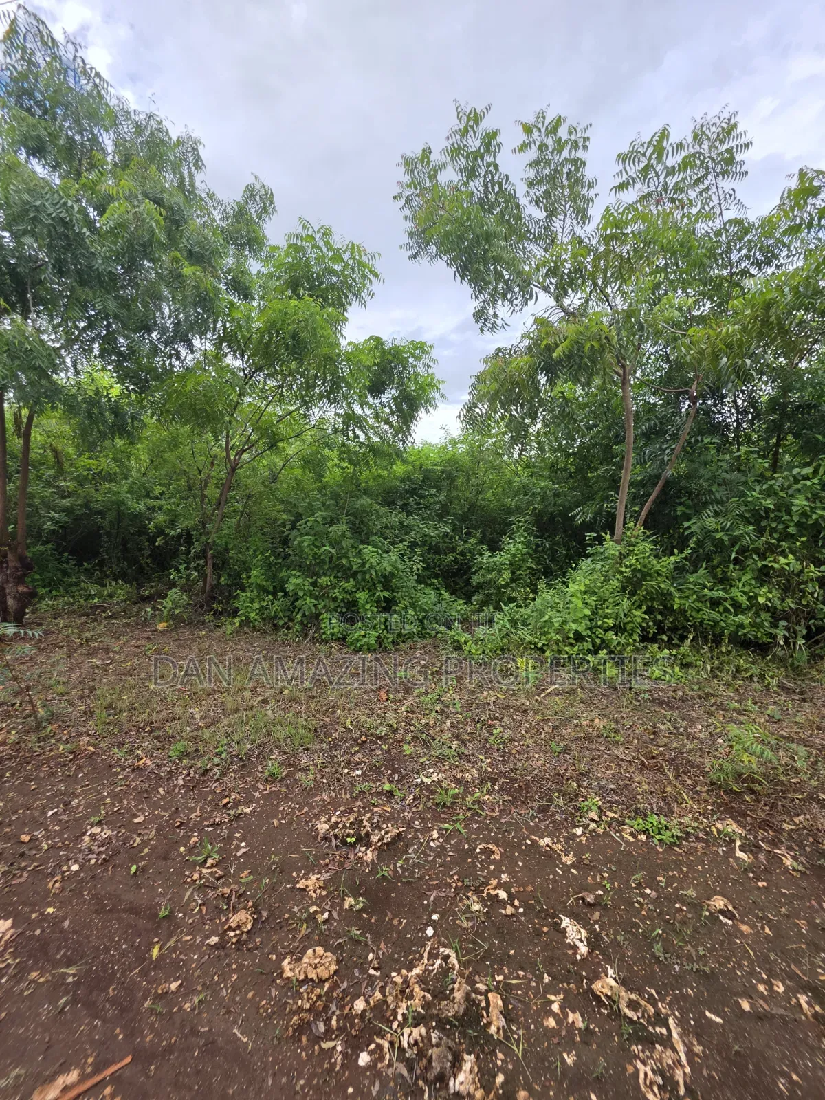 2 Pieces of 1/4 Acre Each in Diani Galu Inn Area