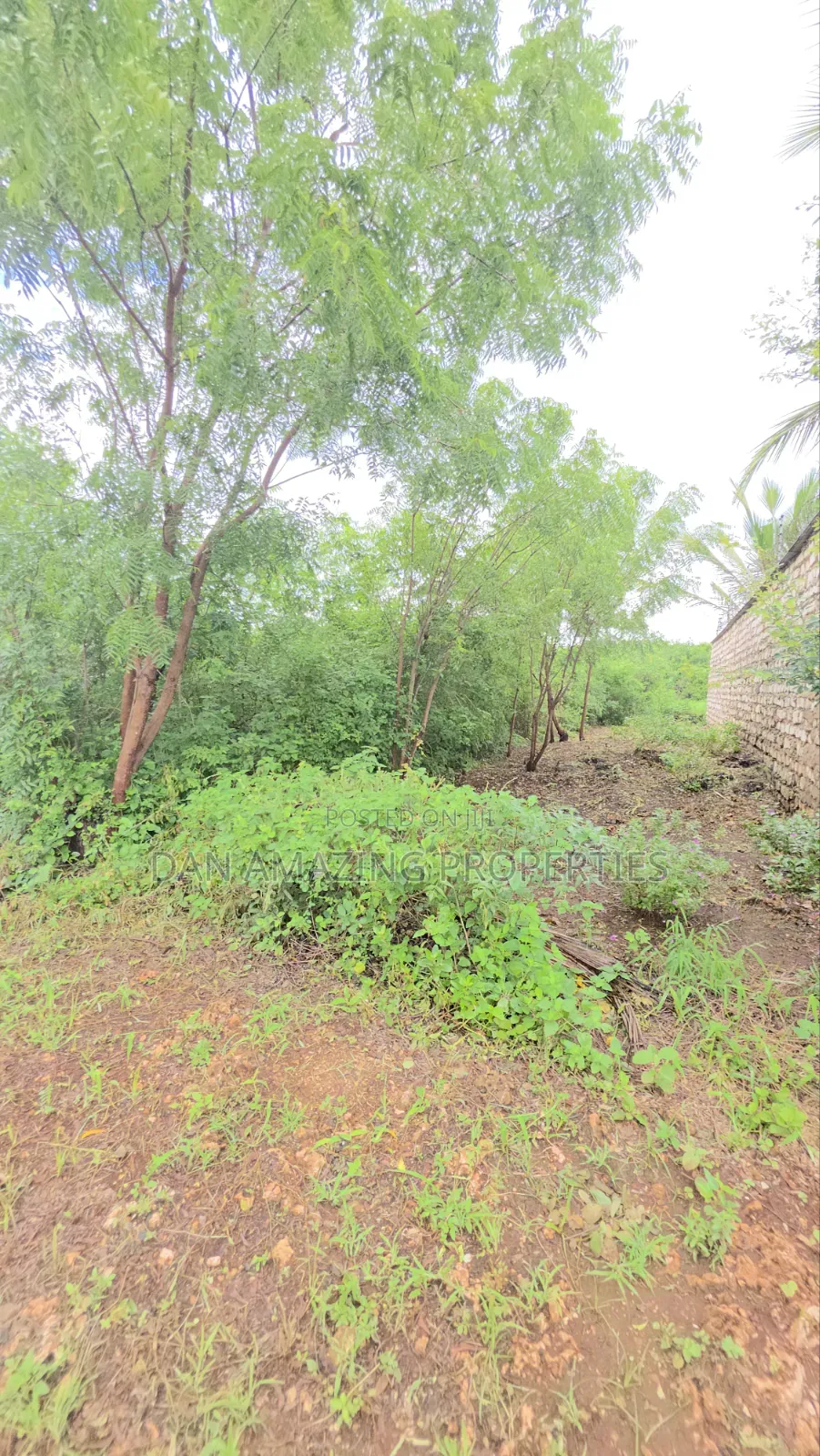 2 Pieces of 1/4 Acre Each in Diani Galu Inn Area