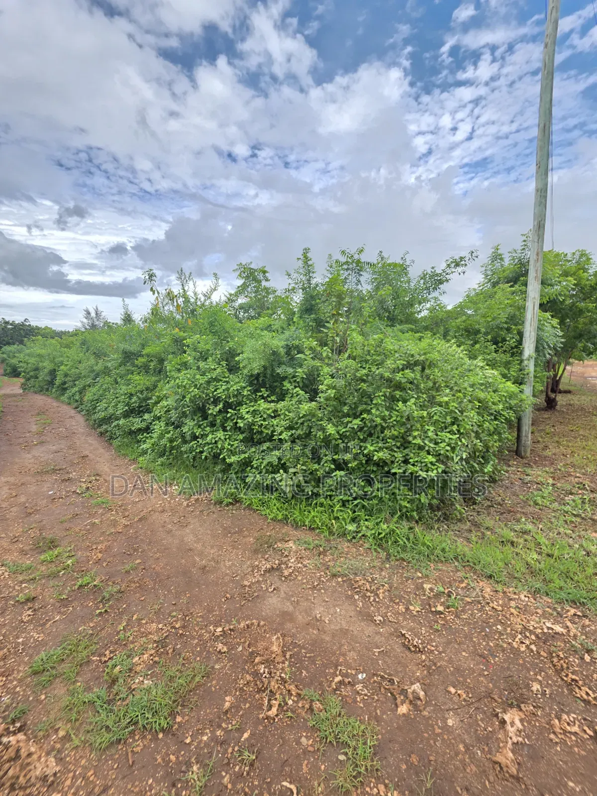 2 Pieces of 1/4 Acre Each in Diani Galu Inn Area