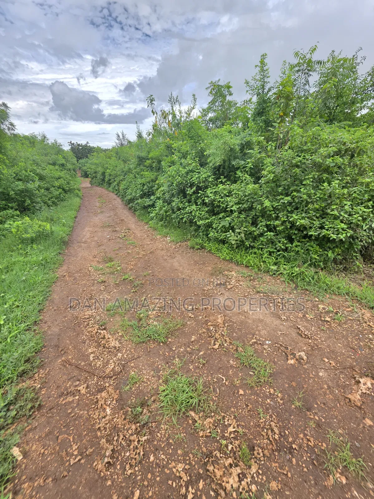 2 Pieces of 1/4 Acre Each in Diani Galu Inn Area