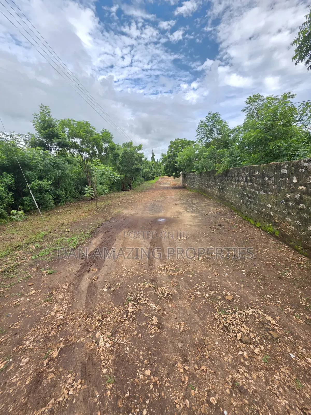 2 Pieces of 1/4 Acre Each in Diani Galu Inn Area