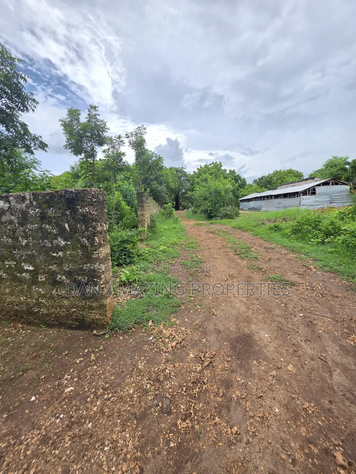 2 Pieces of 1/4 Acre Each in Diani Galu Inn Area