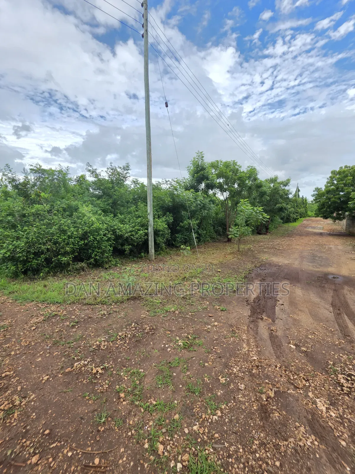 2 Pieces of 1/4 Acre Each in Diani Galu Inn Area