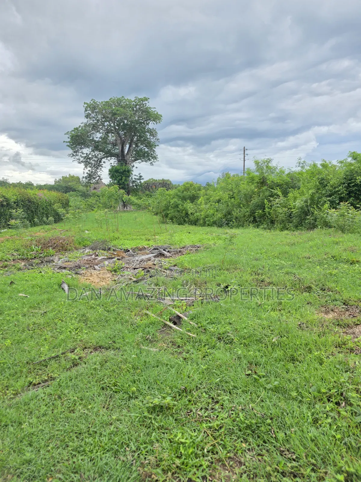 Half an Acre Diani Hibiscus Area for Sale